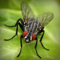 /album/kenzovoyantmagnetiseur/photolia-a01-jpg/