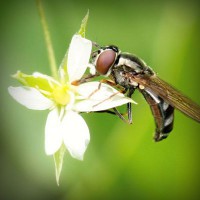 /album/kenzovoyantmagnetiseur/photolia-a02-jpg/