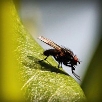 /album/kenzovoyantmagnetiseur/photolia-a04-jpg/