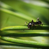 /album/kenzovoyantmagnetiseur/photolia-a05-jpg/