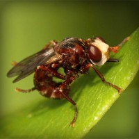 /album/kenzovoyantmagnetiseur/photolia-a06-jpg/