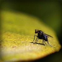 /album/kenzovoyantmagnetiseur/photolia-a07-jpg/